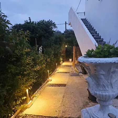 Rose Mesonghi * Moraítika